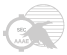 SEC-AAAE Logo