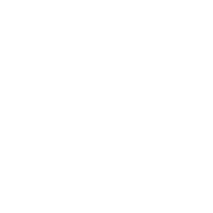 SEC-AAAE Icon in white