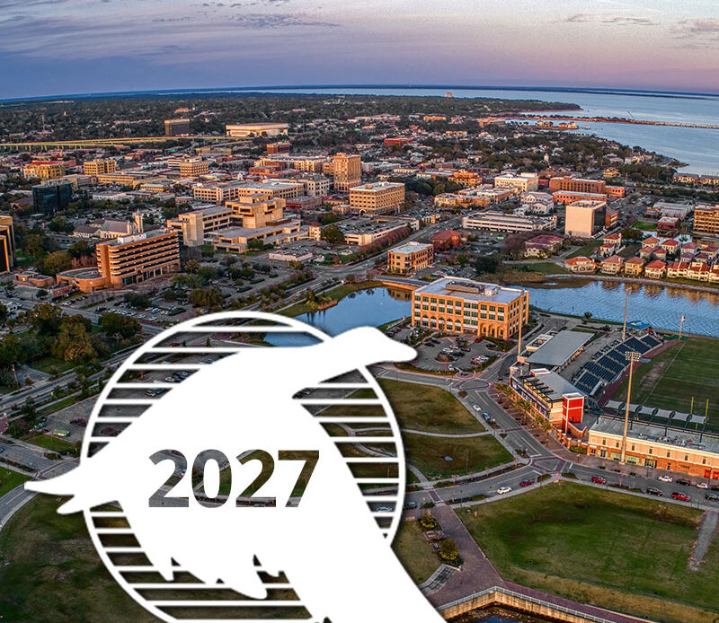 2027 Annual SEC-AAAE Conference