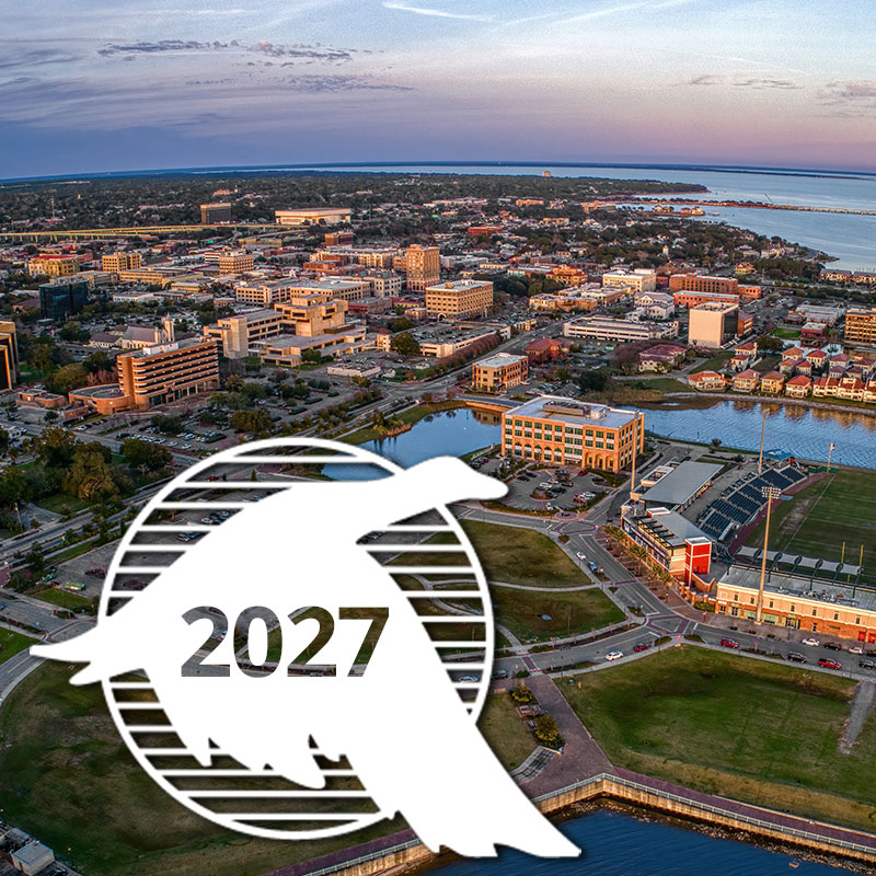 2027 Annual SEC-AAAE Conference